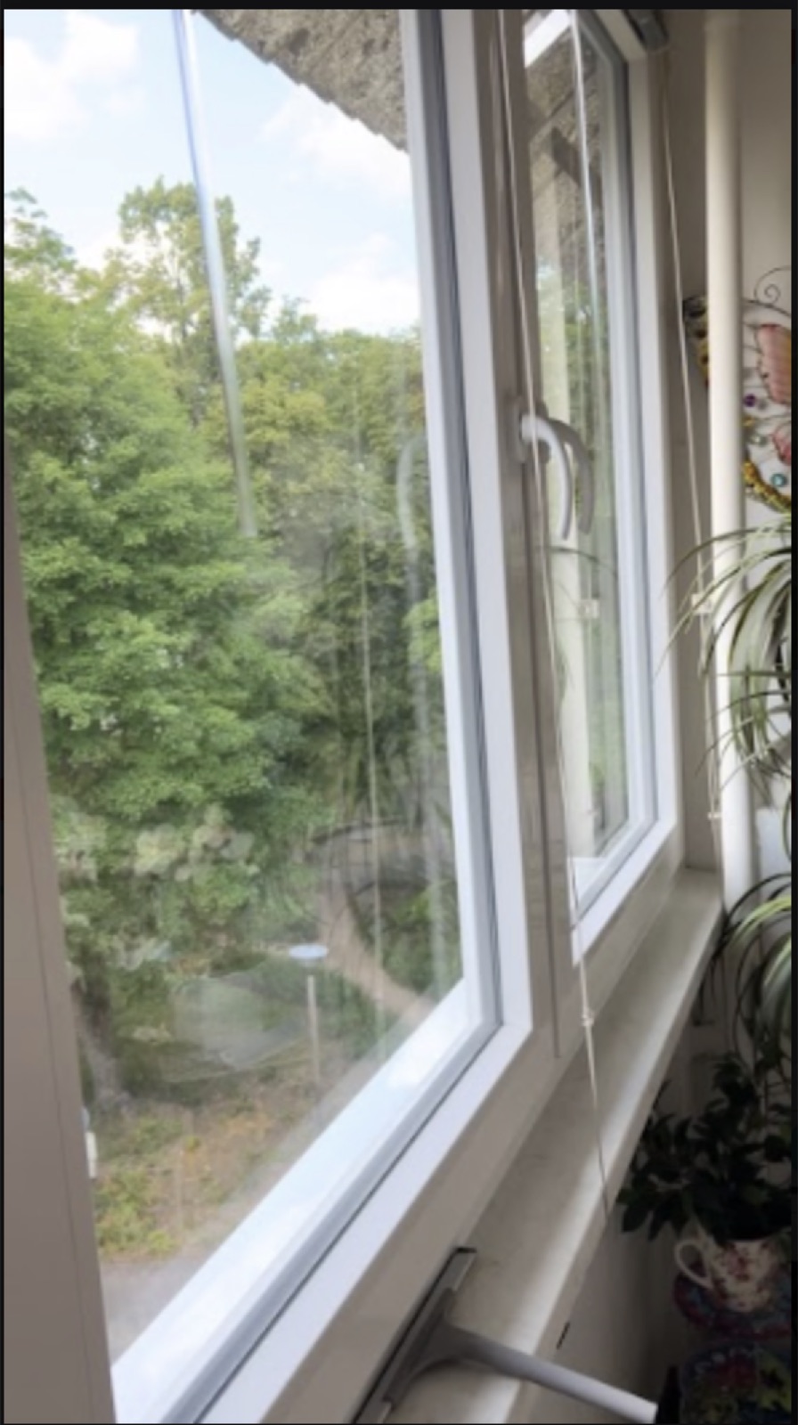 Einblick in die Arbeit von Heinz Fensterreinigungsdienst 4
