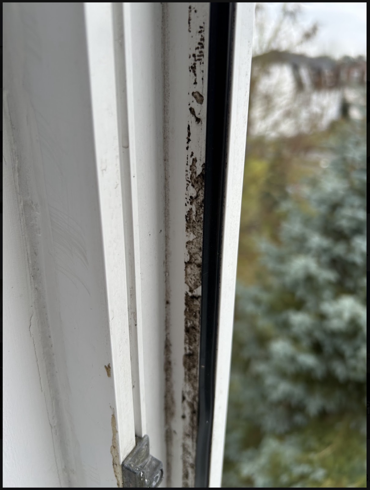 Staub- & Detailreinigung durch Heinz Fensterreinigungsdienst